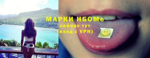 дурь Инсар