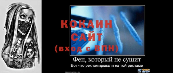 дурь Инсар