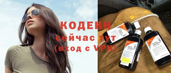 дурь Инсар
