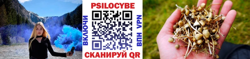 Галлюциногенные грибы Magic Shrooms  Купить где  Правдинск 